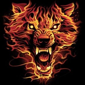 Meet your Posher, Alan